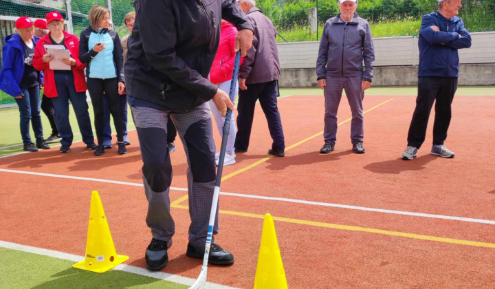 Okresné kolo športovej súťaže seniorov okresu Stará Ľubovňa (XVI. ročník) 