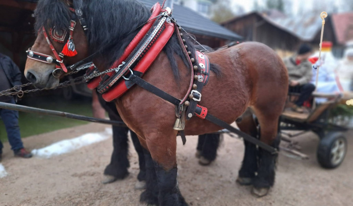 О КТО, КТО, МИКОЛАЯ ЛЮБИТ...