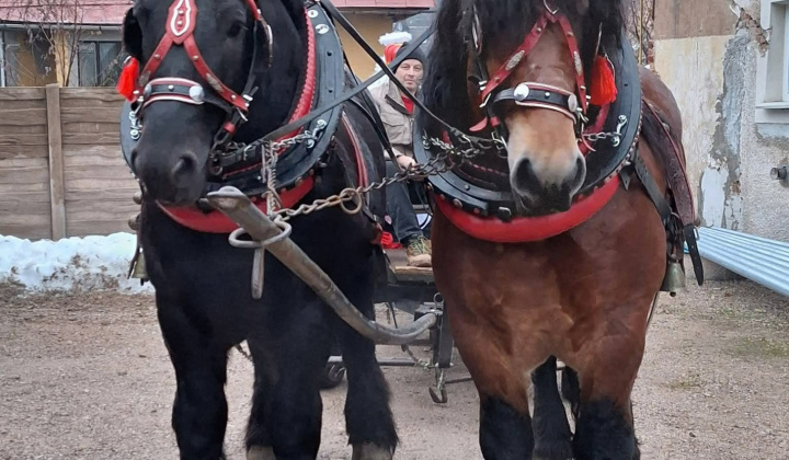 О КТО, КТО, МИКОЛАЯ ЛЮБИТ...