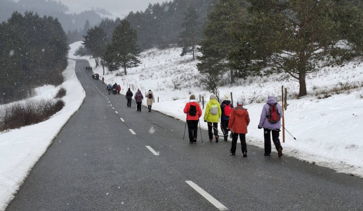 Turistický pochod  