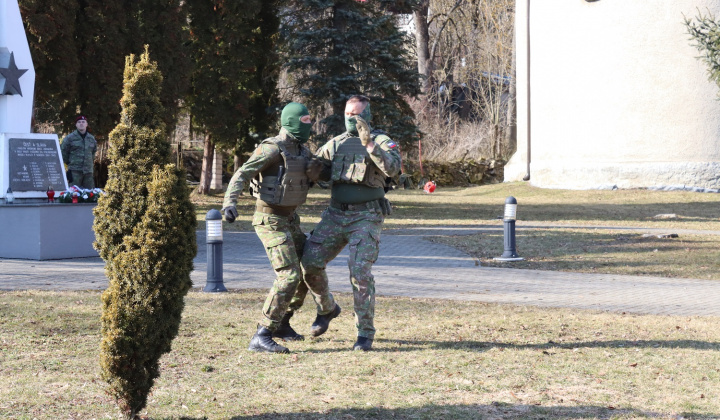 MEMORIÁL SERŽANTA MICHALA STRENKA - 3. ročník