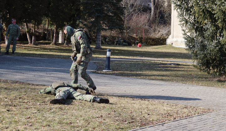 MEMORIÁL SERŽANTA MICHALA STRENKA - 3. ročník