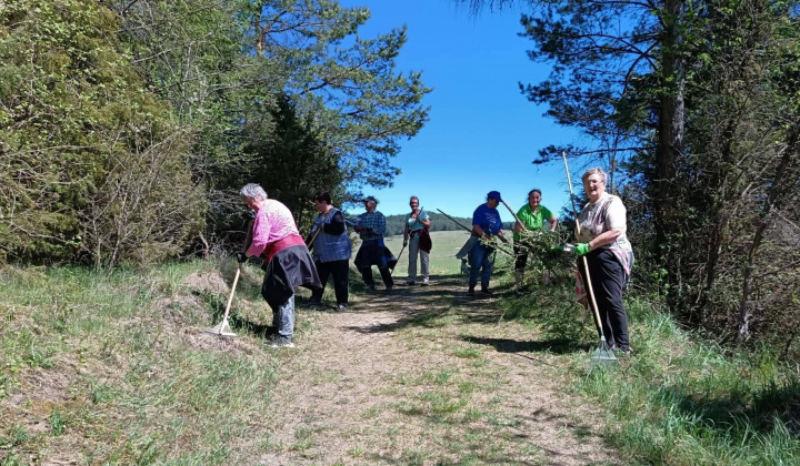 Brigáda seniorov
