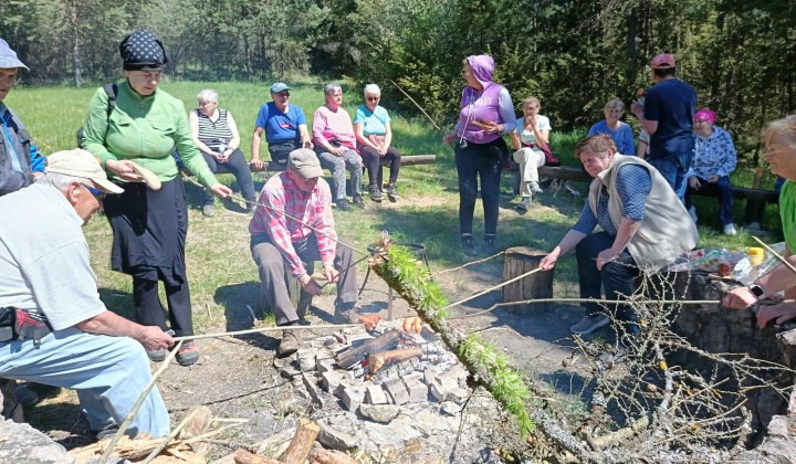 Brigáda seniorov