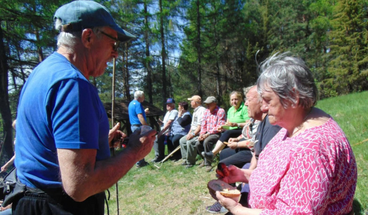 Brigáda seniorov