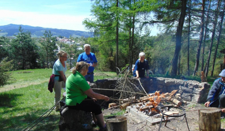 Brigáda seniorov