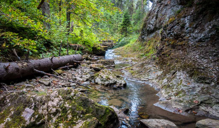 Zaujímavosti / Turistické miesta - Jarabinský prielom (Jarabinské tiesňavy) - foto