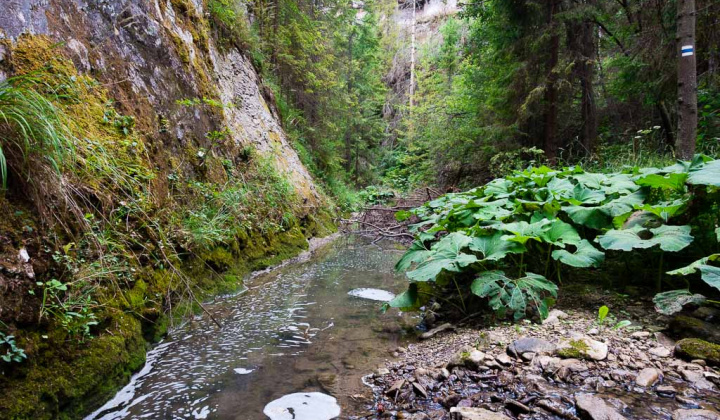 Zaujímavosti / Turistické miesta - Jarabinský prielom (Jarabinské tiesňavy) - foto