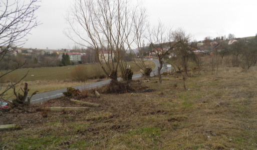 78. výročie oslobodenia obcí Jarabina a Litmanová