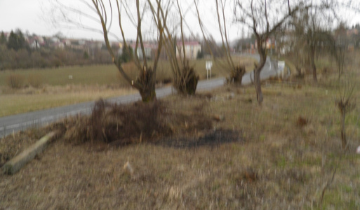 78. výročie oslobodenia obcí Jarabina a Litmanová